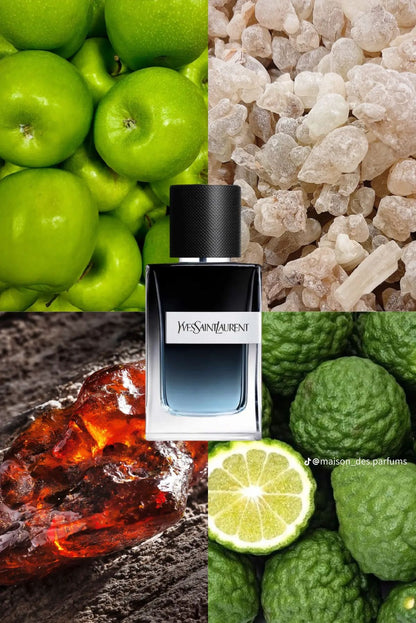 Yves Saint Laurent Y