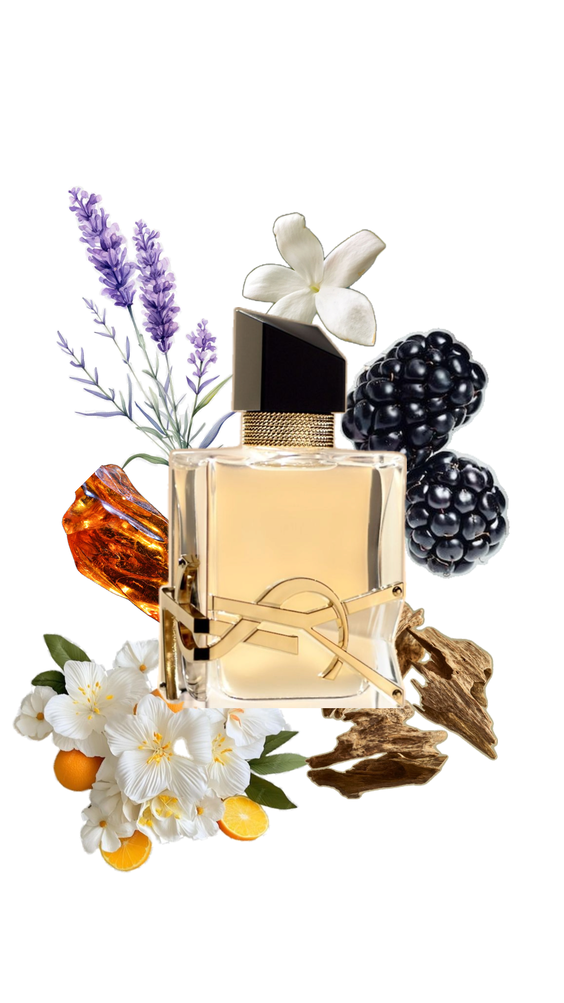 Yves Saint Laurent Libre